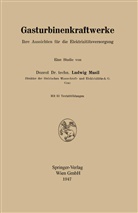 Ludwig Musil - Gasturbinenkraftwerke