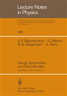 A Balachandran, A P Balachandran, A. P. Balachandran, Balachandran Aiyalam P., Marmo, G Marmo... - Gauge Symmetries and Fibre Bundles