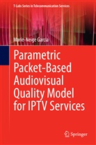 Marie-Neige Garcia - Parametric Packet-based Audiovisual Quality Model for IPTV services