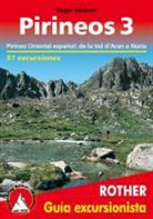 Roger Büdeler - Pirineos 3 (Rother Guía excursionista)