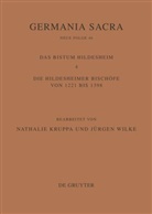 Helmut Flachenecker, Nathali Kruppa, Nathalie Kruppa, Hedwig Röckelein, Wilke, Wilke... - Germania Sacra, Neue Folge - Band 46: Das Bistum Hildesheim. Tl.4