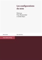 Pete Blumenthal, Peter Blumenthal, MEJRI, Salah Mejri - Les configurations du sens