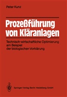 Peter Kunz, Peter M. Kunz - Prozeßführung von Kläranlagen