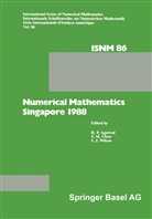 Agarwa, Agarwal, Agarwal, Y. M. Chow, Chw, Chwo... - Numerical Mathematics Singapore 1988