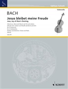 Johann Sebastian Bach - Jesus bleibet meine Freude