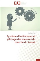 Guillaume Rais, Rais-g - Systeme d indicateurs et pilotage