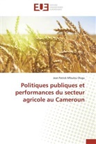 Jean Patrick Mfoulou Olugu, Olugu-j - Politiques publiques et