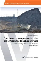 Victoria Kulpanowska - Das Investitionspotential des chilenischen Bergbausektors