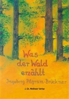 Ingeborg Pilgram-Brückner, Hanne Russmann - Was der Wald erzählt