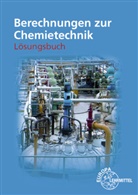 Gerhar Fastert, Gerhard Fastert, Eckhar Ignatowitz, Eckhard Ignatowitz, Eckhard (Dr. Ignatowitz, H Rapp... - Berechnungen zur Chemietechnik, Lösungen
