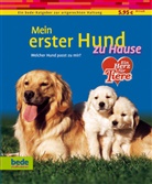 Isabell Francais, Isabelle Francais, Dominik Kieselbach - Mein erster Hund zu Hause
