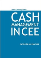 Martin Czerweny-Arland - Cash-Management in CEE
