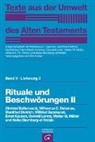 Otto Kaiser - Texte aus der Umwelt des Alten Testaments, Bd 2: Religiöse Texte / Rituale und Beschwörungen II