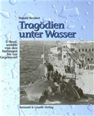 Harald Bendert - Tragödien unter Wasser