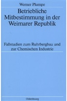 Werner Plumpe - Betriebliche Mitbestimmung in der Weimarer Republik