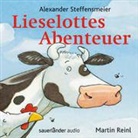 Alexander Steffensmeier, Bernd Kohlhepp, Martin Reinl - Lieselottes Abenteuer, 1 Audio-CD (Audio book)