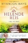 Brandon Bays - De helende reis