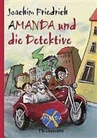 Joachim Friedrich, Edda Skibbe - Amanda und die Detektive