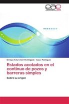 Enrique Artur Carrillo Delgado, Enrique Arturo Carrillo Delgado, Isaac Rodriguez - Estados acotados en el continuo de pozos y barreras simples