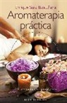 Enrique Sanz Bascuñana - Aromaterapia práctica