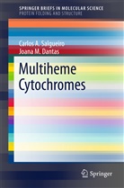 Joana M Dantas, Joana M. Dantas, Carlos Salgueiro, Carlos A Salgueiro, Carlos A. Salgueiro - Multiheme Cytochromes