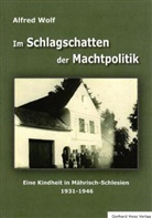 Alfred Wolf - Im Schlagschatten der Machtpolitik
