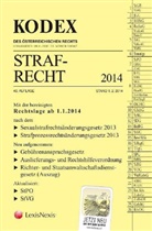 Werner Doralt - KODEX Strafrecht 2014