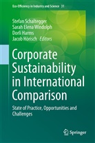 Sara Elena Windolph, Sarah Elena Windolph, Dorli Harms, Dorli Harms et al, Jacob Hörisch, Stefan Schaltegger... - Corporate Sustainability in International Comparison