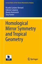 Ricardo Castano-Bernard, Fabrizi Catanese, Fabrizio Catanese, Maxim Kontsevich, Maxim Kontsevich et al, Tony Pantev... - Homological Mirror Symmetry and Tropical Geometry