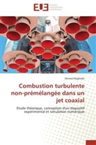 Ahmed Maghrebi, Maghrebi-a - Combustion turbulente non