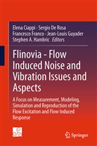 Elena Ciappi, Sergi De Rosa, Sergio De Rosa, Sergio DeRosa, Francesco Franco, Francesco Franco et al... - Flinovia - Flow Induced Noise and Vibration Issues and Aspects