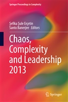 Banerjee, Banerjee, Santo Banerjee, efika  ule Erçetin, Sefika Sule Erçetin, Şefika Şule Erçetin... - Chaos, Complexity and Leadership 2013