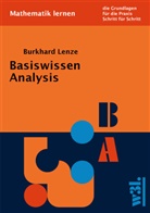 Burkhard Lenze - Basiswissen Analysis