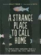 Marilyn Singer, Singer Marilyn, Ed Young, Young Ed, Ed Young - A Strange Place to Call Home