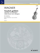 Richard Wagner - Treulich geführt