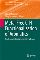 Valer Charushin, Valery Charushin, Chupakhin, Chupakhin, Oleg Chupakhin - Metal Free C-H Functionalization of Aromatics