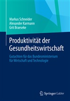 Grit Braeseke, Alexander Karmann, Alexander (Prof. Karmann, Markus Schneider, Markus (Dr. Schneider, Markus (Dr.) Schneider - Produktivität der Gesundheitswirtschaft