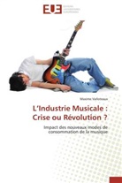 Maxime Varloteaux, Varloteaux-m - L industrie musicale: crise ou