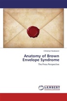 Chinenye Nwabueze, Domasius Nwabunma - Anatomy of Brown Envelope Syndrome