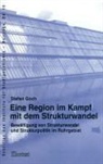 Stefan Goch - Eine Region im Kampf mit dem Strukturwandel