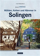 Axel Birkenbeul - Mühlen, Kotten und Hämmer in Solingen