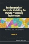 Jianguo Lin, Jianguo Lin, Jianguo (Imperial College London Lin, Lin Jianguo - Fundamentals of Materials Modelling for Metals Processing Technologies