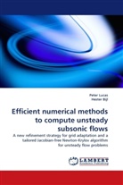 Hester Bijl, Pete Lucas, Peter Lucas - Efficient numerical methods to compute unsteady subsonic flows