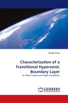 Sandy Tirtey - Characterization of a Transitional Hypersonic Boundary Layer