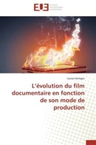 Louise Hentgen, Hentgen-l - L evolution du film documentaire