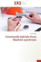 Amrou Araji, Araji-a - Commande hybride d une machine
