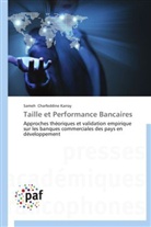 Sameh Charfeddine Karray, Karray-s - Taille et performance bancaires