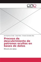 Ive Espinosa Conde, Ivet Espinosa Conde, Er González Díaz, Ernesto González Díaz, Zad Pérez, Zady Pérez - Proceso de descubrimiento de patrones ocultos en bases de datos