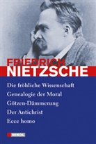 Friedrich Nietzsche - Nietzsche: Ausgewählte Werke