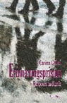 Carina Göbel - Erinnerungsprisma